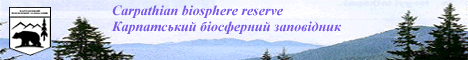 cbr.gif (28431 bytes)