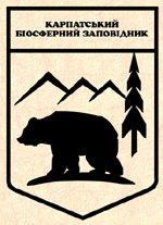 cbrnew.jpg (24665 bytes)